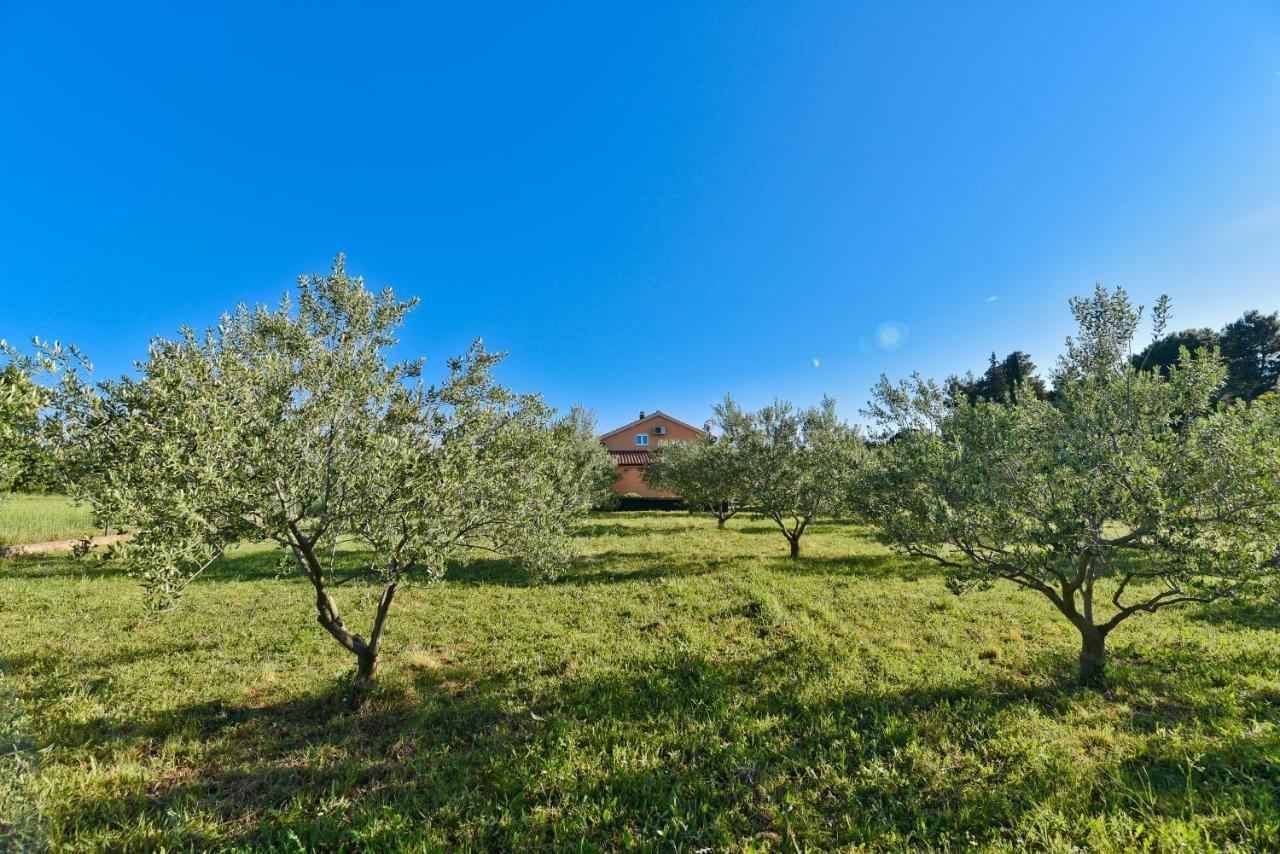 Holiday Home Taras Smilcic Екстер'єр фото