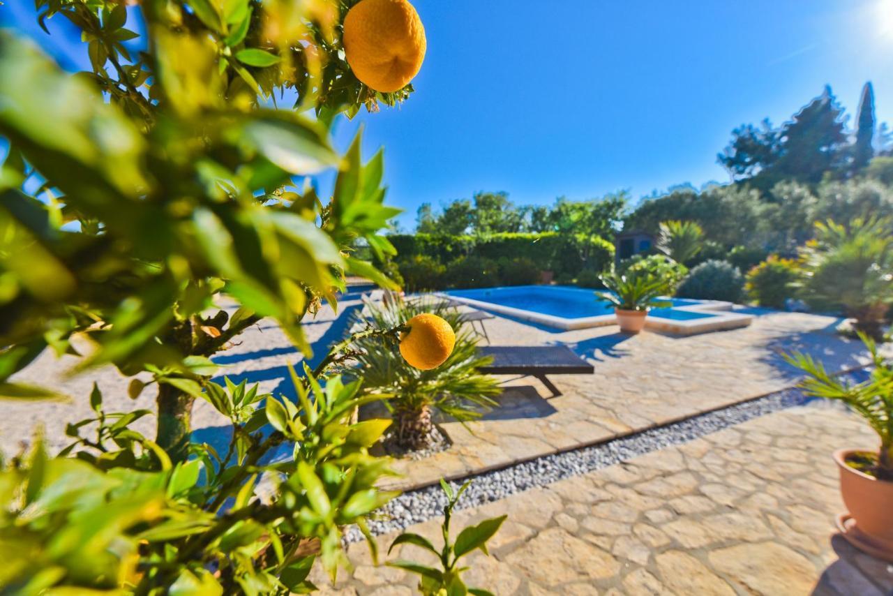 Holiday Home Taras Smilcic Екстер'єр фото